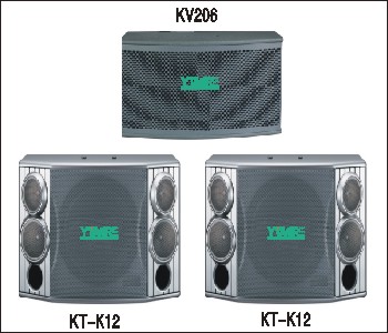 KT-K12/KV206